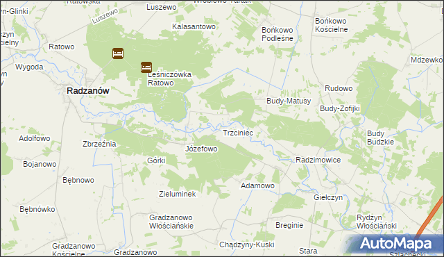 mapa Trzciniec gmina Radzanów, Trzciniec gmina Radzanów na mapie Targeo