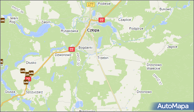 mapa Trzebin gmina Człopa, Trzebin gmina Człopa na mapie Targeo
