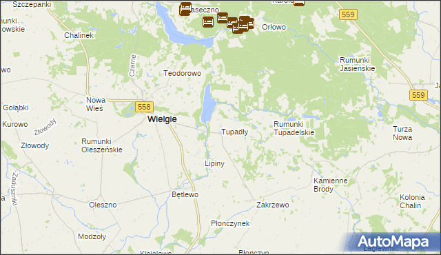 mapa Tupadły gmina Wielgie, Tupadły gmina Wielgie na mapie Targeo