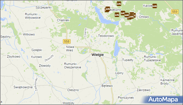 mapa Wielgie powiat lipnowski, Wielgie powiat lipnowski na mapie Targeo