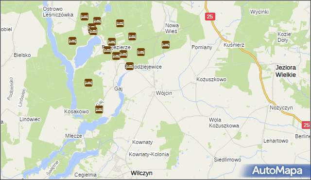 mapa Wójcin gmina Jeziora Wielkie, Wójcin gmina Jeziora Wielkie na mapie Targeo