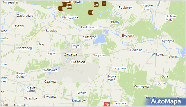 mapa Wojnów gmina Oleśnica, Wojnów gmina Oleśnica na mapie Targeo