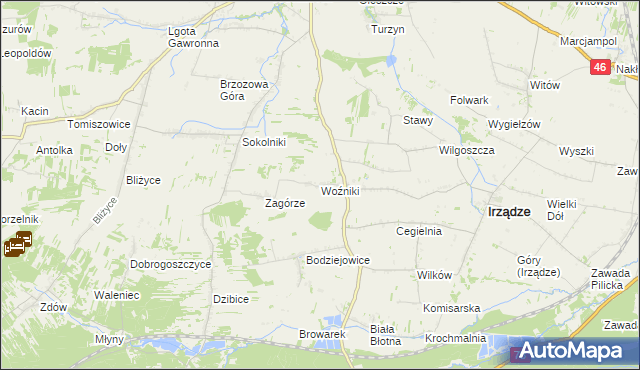 mapa Woźniki gmina Irządze, Woźniki gmina Irządze na mapie Targeo