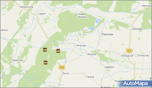 mapa Wronów gmina Niechlów, Wronów gmina Niechlów na mapie Targeo