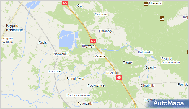 mapa Zalesie gmina Dobrzyniewo Duże, Zalesie gmina Dobrzyniewo Duże na mapie Targeo