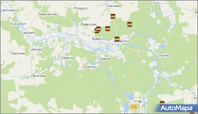 mapa Zalesie gmina Malechowo, Zalesie gmina Malechowo na mapie Targeo