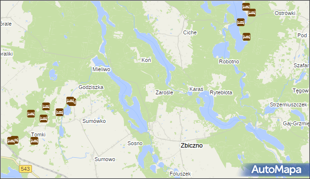 mapa Zarośle gmina Zbiczno, Zarośle gmina Zbiczno na mapie Targeo