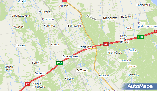 mapa Dzierzgów gmina Nieborów, Dzierzgów gmina Nieborów na mapie Targeo