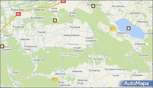 mapa Antoninów gmina Łąck, Antoninów gmina Łąck na mapie Targeo