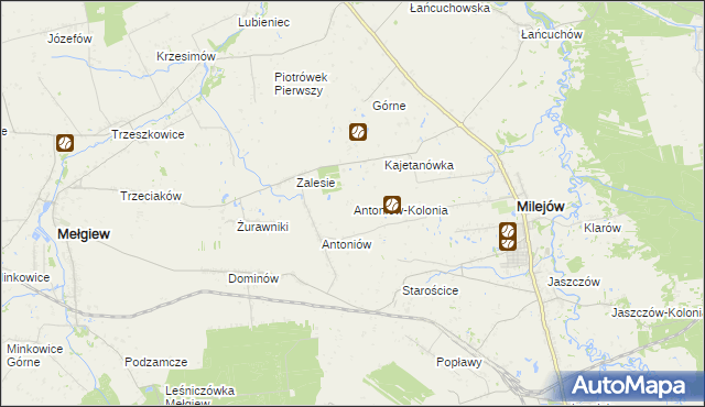 mapa Antoniów-Kolonia, Antoniów-Kolonia na mapie Targeo