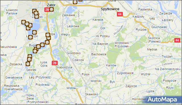 mapa Bachowice, Bachowice na mapie Targeo