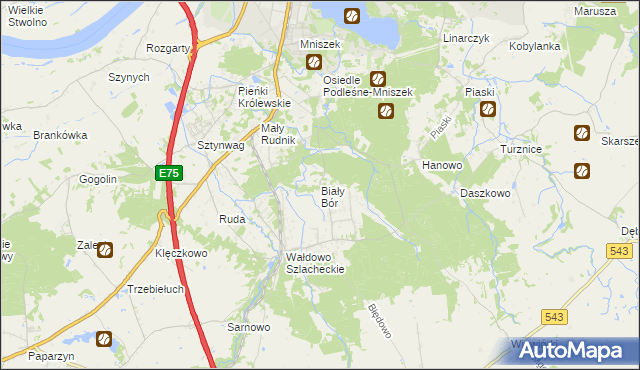 mapa Biały Bór gmina Grudziądz, Biały Bór gmina Grudziądz na mapie Targeo