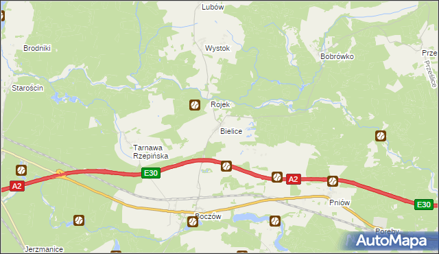 mapa Bielice gmina Torzym, Bielice gmina Torzym na mapie Targeo