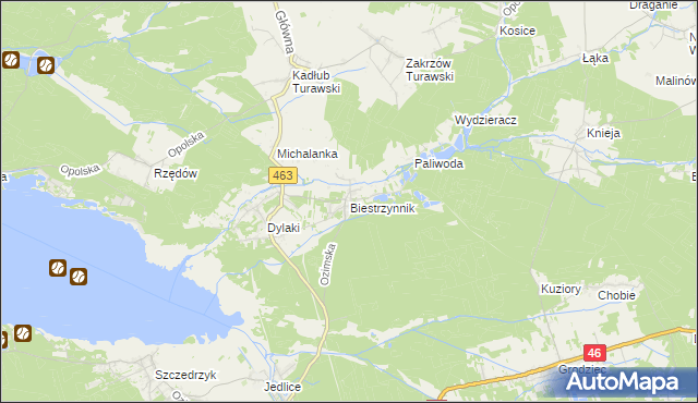 mapa Biestrzynnik, Biestrzynnik na mapie Targeo