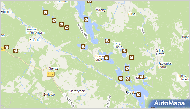 mapa Borowy Młyn gmina Pszczew, Borowy Młyn gmina Pszczew na mapie Targeo