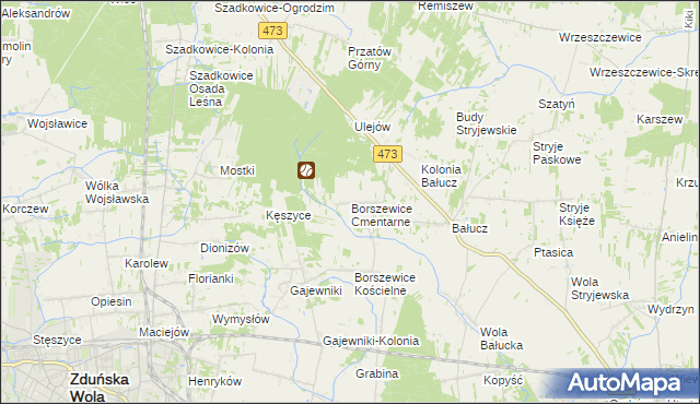 mapa Borszewice Cmentarne, Borszewice Cmentarne na mapie Targeo