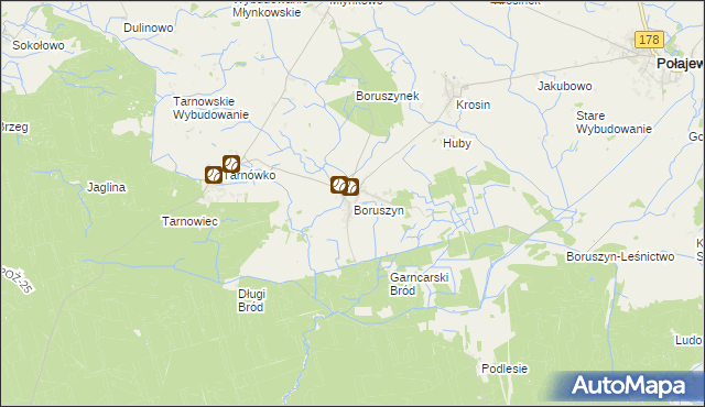 mapa Boruszyn gmina Połajewo, Boruszyn gmina Połajewo na mapie Targeo