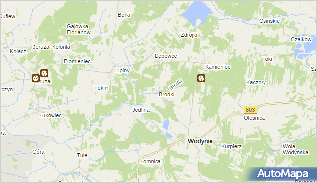 mapa Brodki gmina Wodynie, Brodki gmina Wodynie na mapie Targeo