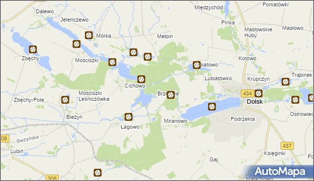 mapa Brzednia, Brzednia na mapie Targeo