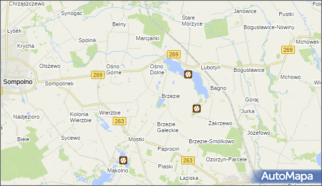 mapa Brzezie gmina Babiak, Brzezie gmina Babiak na mapie Targeo