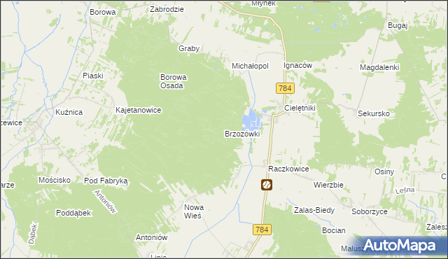 mapa Brzozówki, Brzozówki na mapie Targeo