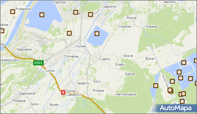 mapa Cygany gmina Nowa Dęba, Cygany gmina Nowa Dęba na mapie Targeo
