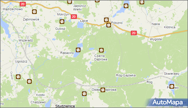 mapa Czarna Dąbrowa, Czarna Dąbrowa na mapie Targeo