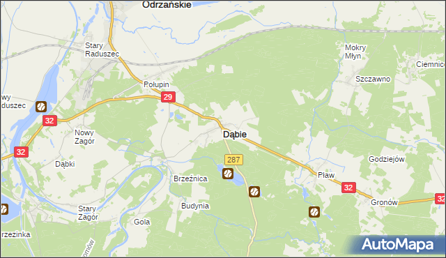 mapa Dąbie powiat krośnieński, Dąbie powiat krośnieński na mapie Targeo