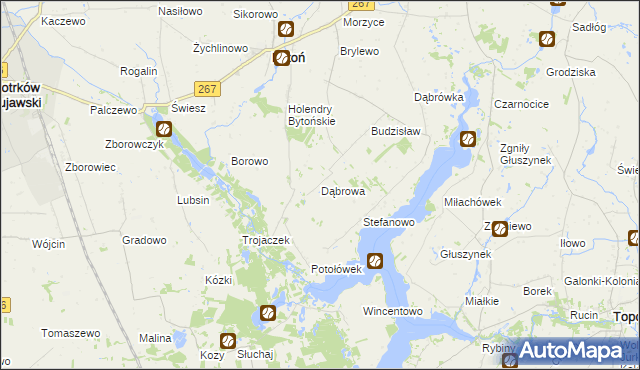 mapa Dąbrowa gmina Bytoń, Dąbrowa gmina Bytoń na mapie Targeo