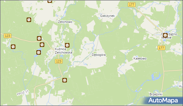 mapa Dębogóra gmina Wieleń, Dębogóra gmina Wieleń na mapie Targeo
