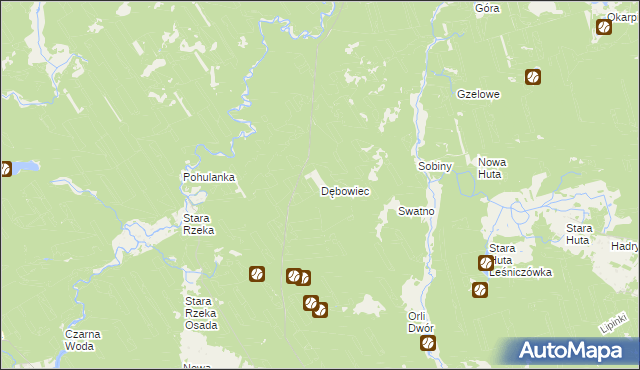 mapa Dębowiec gmina Osie, Dębowiec gmina Osie na mapie Targeo