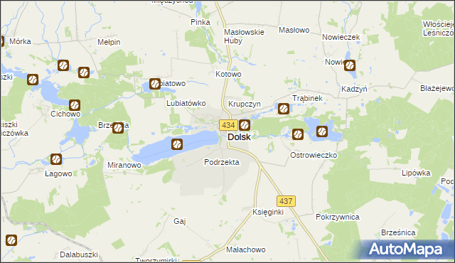 mapa Dolsk powiat śremski, Dolsk powiat śremski na mapie Targeo