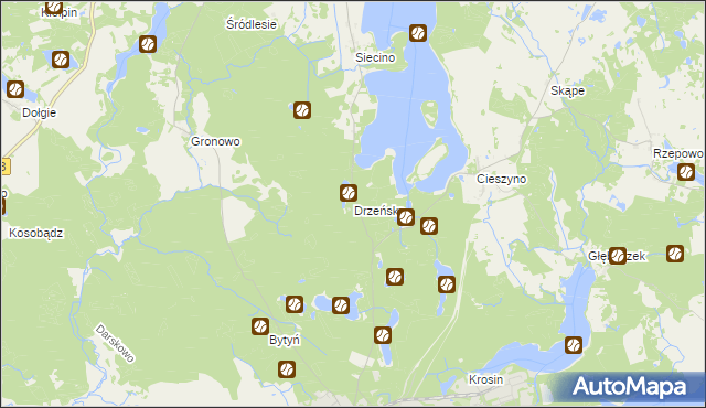 mapa Drzeńsko gmina Ostrowice, Drzeńsko gmina Ostrowice na mapie Targeo