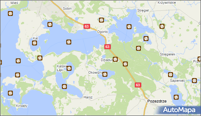 mapa Dziaduszyn, Dziaduszyn na mapie Targeo