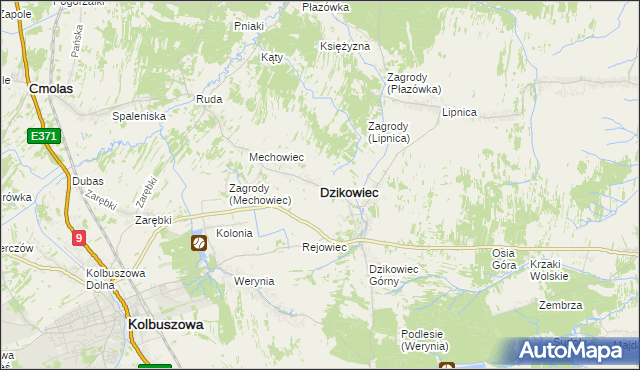 mapa Dzikowiec powiat kolbuszowski, Dzikowiec powiat kolbuszowski na mapie Targeo