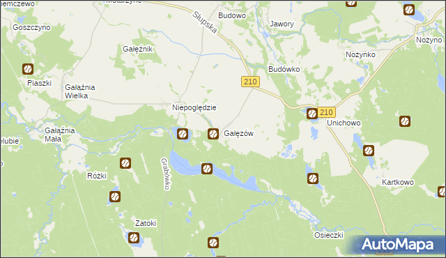 mapa Gałęzów gmina Dębnica Kaszubska, Gałęzów gmina Dębnica Kaszubska na mapie Targeo