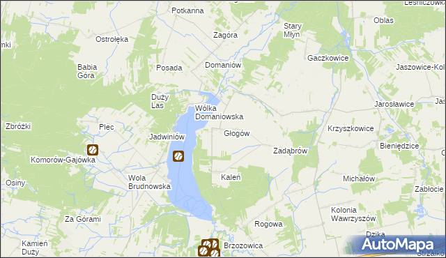 mapa Głogów gmina Wieniawa, Głogów gmina Wieniawa na mapie Targeo