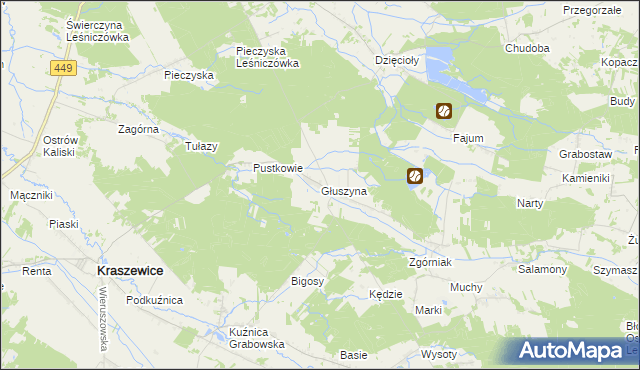 mapa Głuszyna gmina Kraszewice, Głuszyna gmina Kraszewice na mapie Targeo