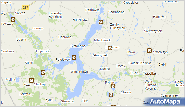 mapa Głuszynek, Głuszynek na mapie Targeo