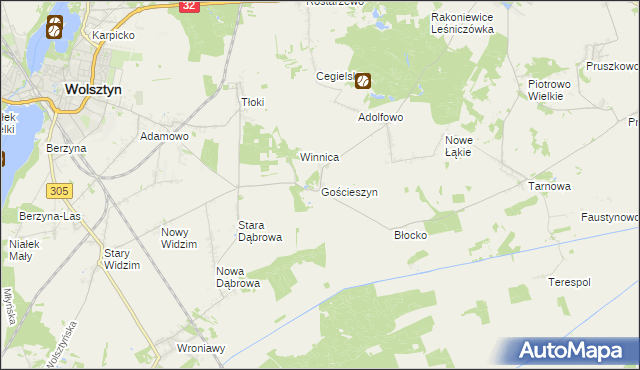 mapa Gościeszyn gmina Wolsztyn, Gościeszyn gmina Wolsztyn na mapie Targeo