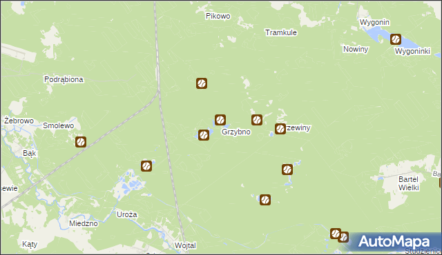 mapa Grzybno gmina Stara Kiszewa, Grzybno gmina Stara Kiszewa na mapie Targeo