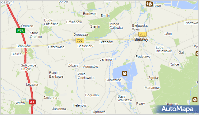 mapa Janinów gmina Bielawy, Janinów gmina Bielawy na mapie Targeo