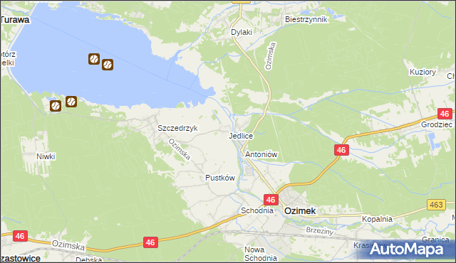 mapa Jedlice gmina Ozimek, Jedlice gmina Ozimek na mapie Targeo