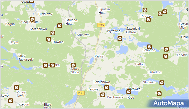 mapa Kalisz gmina Dziemiany, Kalisz gmina Dziemiany na mapie Targeo