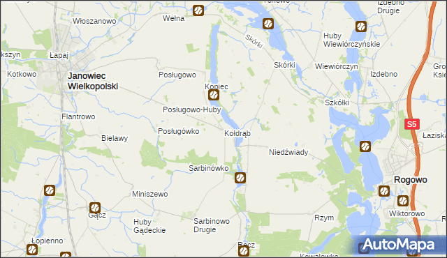 mapa Kołdrąb gmina Janowiec Wielkopolski, Kołdrąb gmina Janowiec Wielkopolski na mapie Targeo