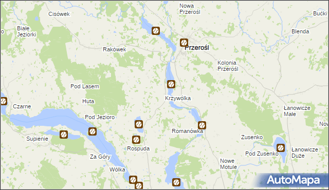 mapa Krzywólka gmina Przerośl, Krzywólka gmina Przerośl na mapie Targeo