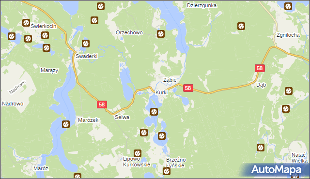 mapa Kurki gmina Olsztynek, Kurki gmina Olsztynek na mapie Targeo