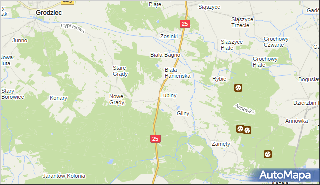 mapa Lubiny gmina Rychwał, Lubiny gmina Rychwał na mapie Targeo