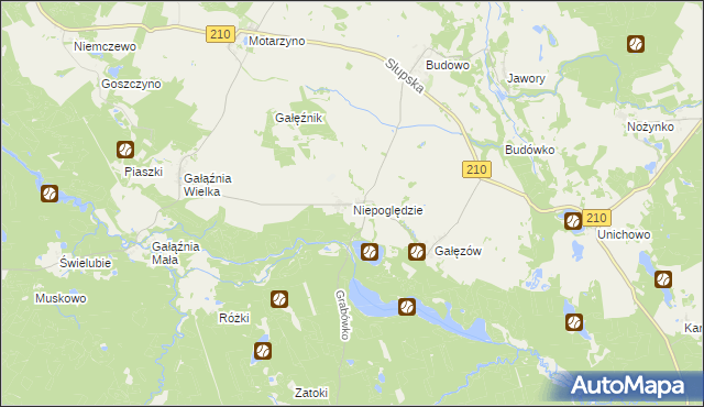 mapa Niepoględzie, Niepoględzie na mapie Targeo