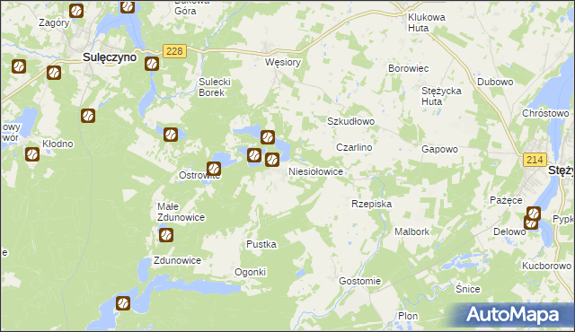 mapa Niesiołowice gmina Stężyca, Niesiołowice gmina Stężyca na mapie Targeo